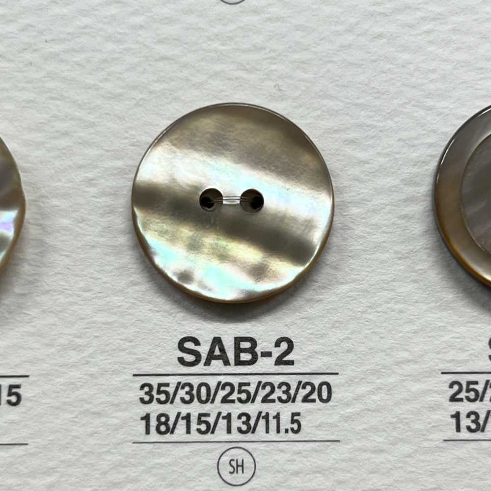 SAB2 Conchiglia In Materiale Naturale Realizzata Con Bottone Lucido A 2 Fori[Pulsante] IRIS