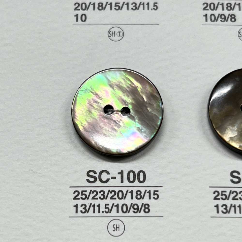 SC100 Conchiglia In Materiale Naturale Realizzata Con Bottone Lucido A 2 Fori[Pulsante] IRIS