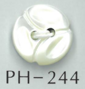 PH244 2- Pulsante Conchiglia Sakamoto Saji Shoten