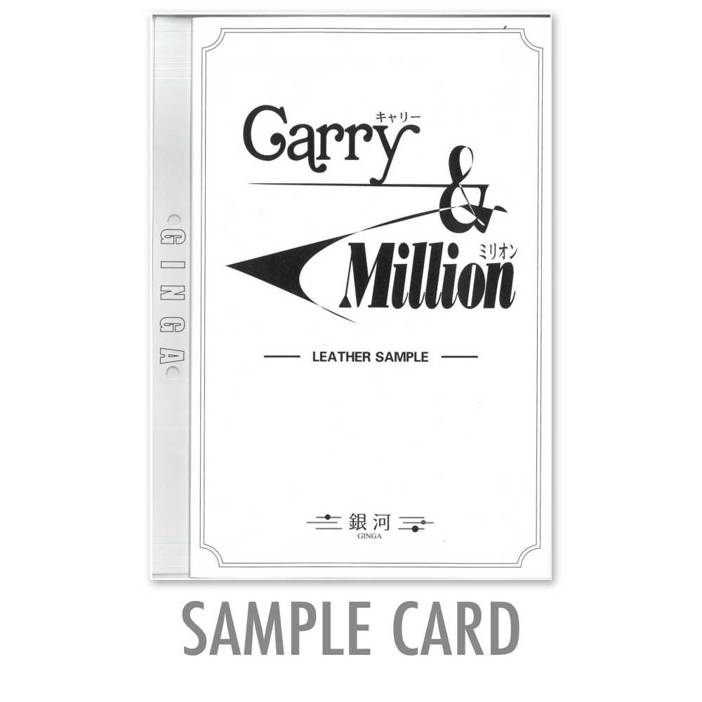 GINGA-SAMPLE2 Scheda Campione GINGA [Carry & Million]