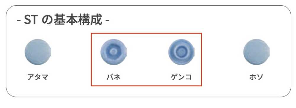 ST-30-B/C サンテナック ST30 バネ/ゲンコ SET[Chiusura A Pressione/rondella Ad Occhiello] Kajitec