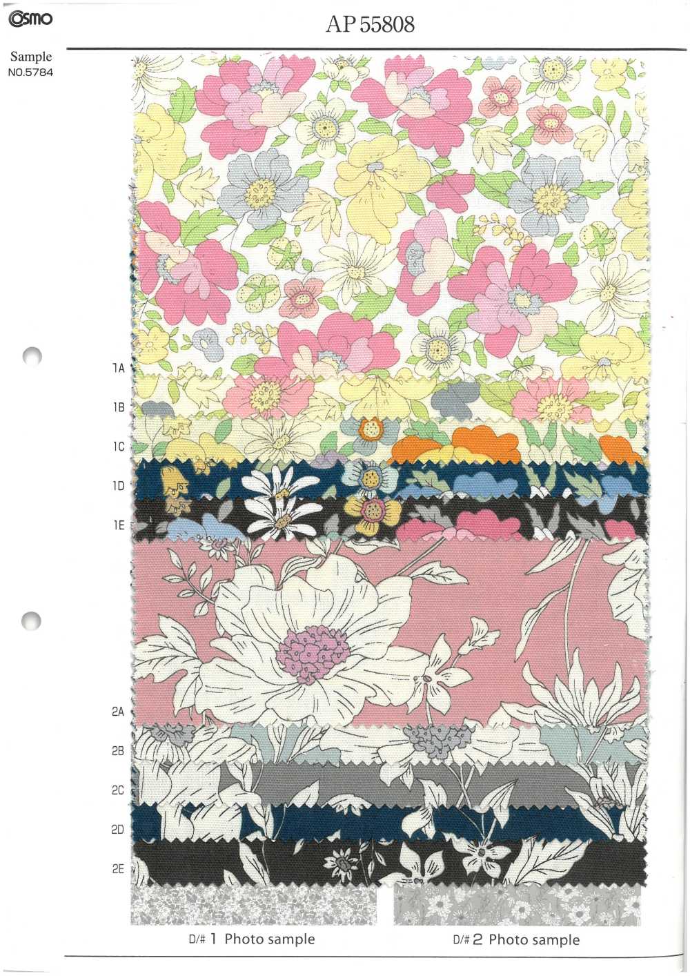 AP55808 Essential Grace 2 Oxford (Rotondo)[Tessile / Tessuto] COSMO TEXTILE