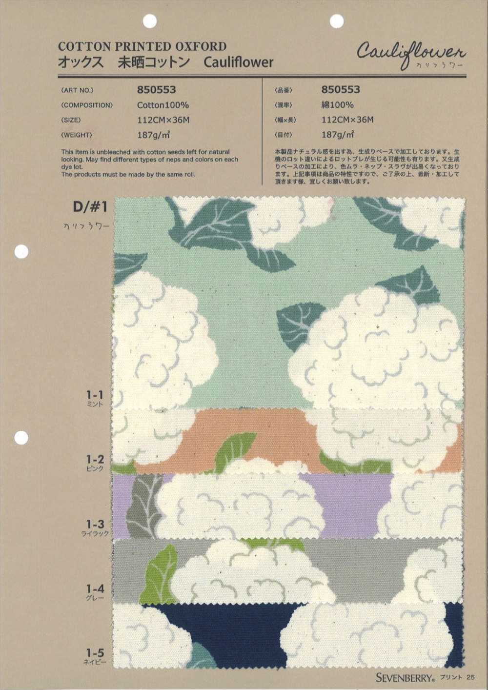 850553 Cavolfiore In Cotone Oxford Non Sbiancato[Tessile / Tessuto] VANCET