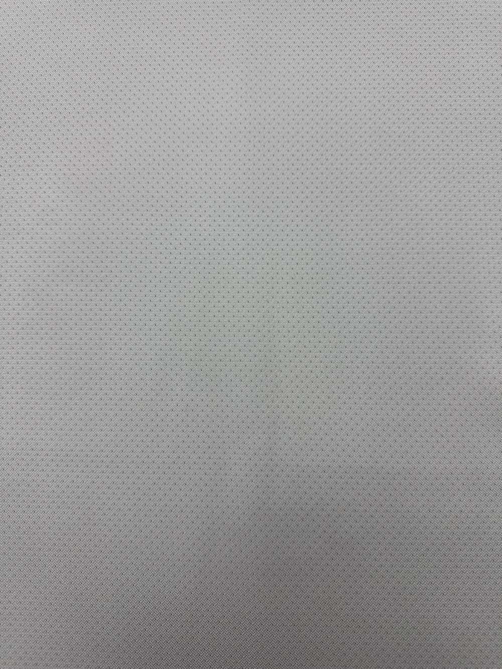 S-900 [outlet] Yamanashi Fujiyoshida 100% Argento Seta[Tessile] Yamamoto(EXCY)