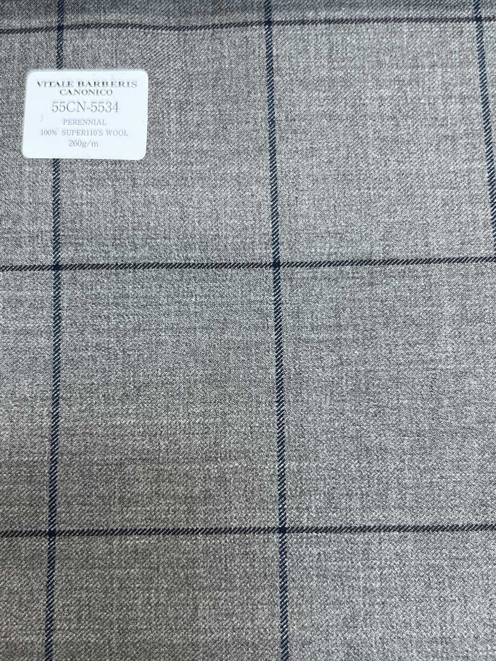 55CN5534 CANONICO PERENNIAL SUPER110'S Beige Windowpane[Tessile] CANONICO