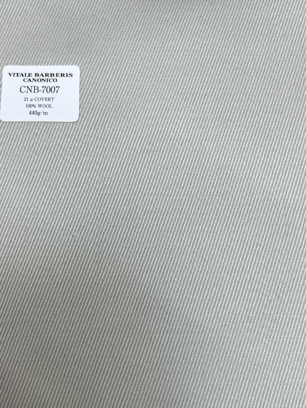 CNB7007 CANONICO Standard 21μCOVERT Beige Chiaro Senza Motivo[Tessile] CANONICO
