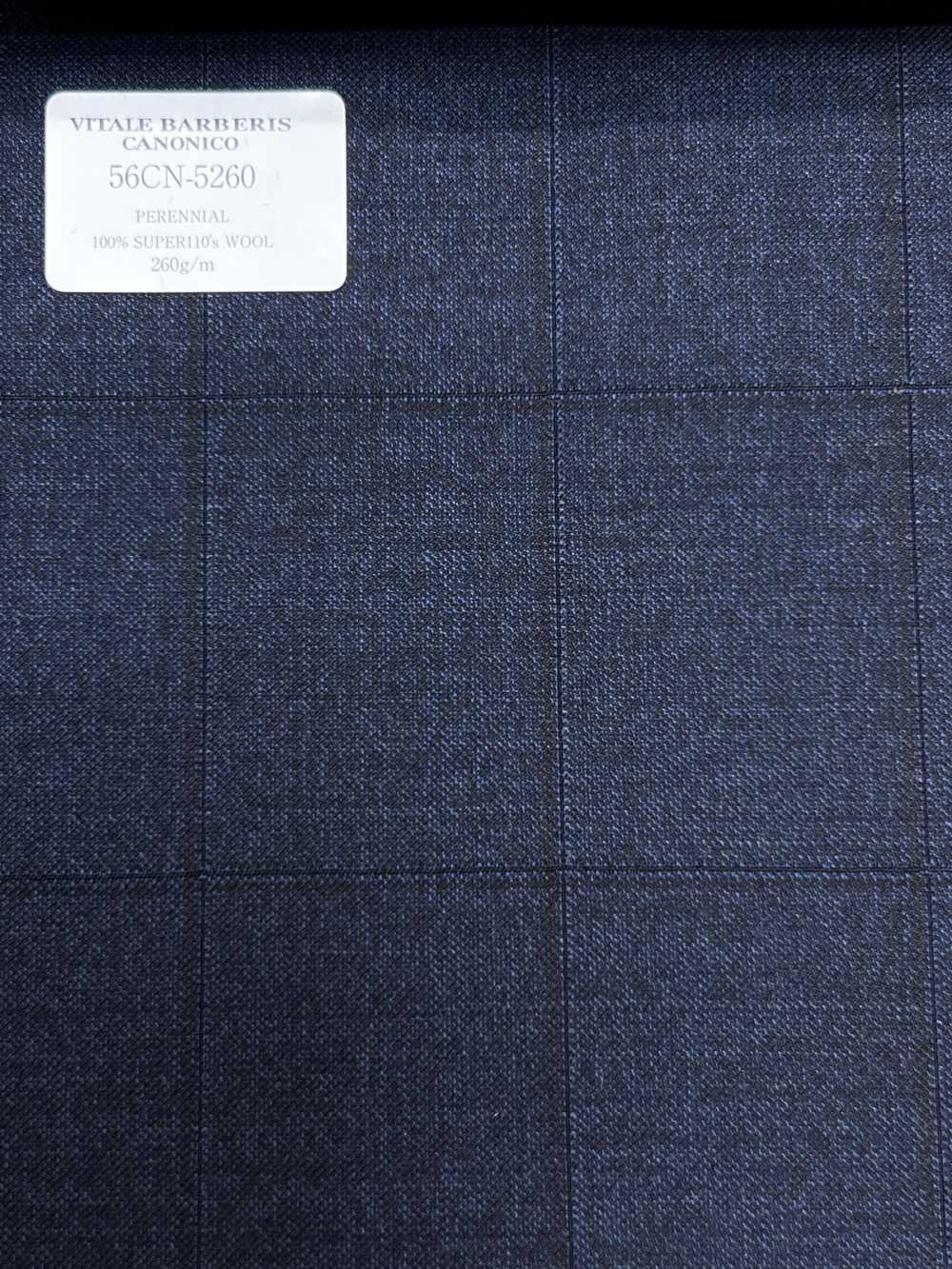 56CN5260 CANONICO (Canonico) PERENNIAL-CLASSICS blu navy a finestra[Tessile] CANONICO
