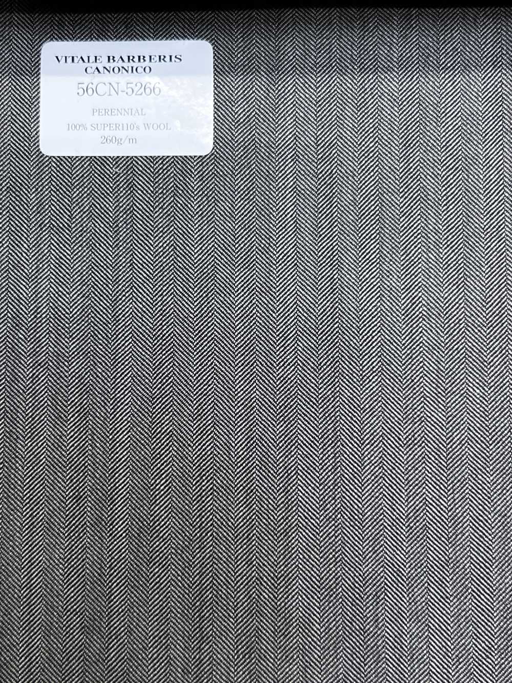 56CN5266 CANONICO Classici perenni Beige spina di pesce[Tessile] CANONICO