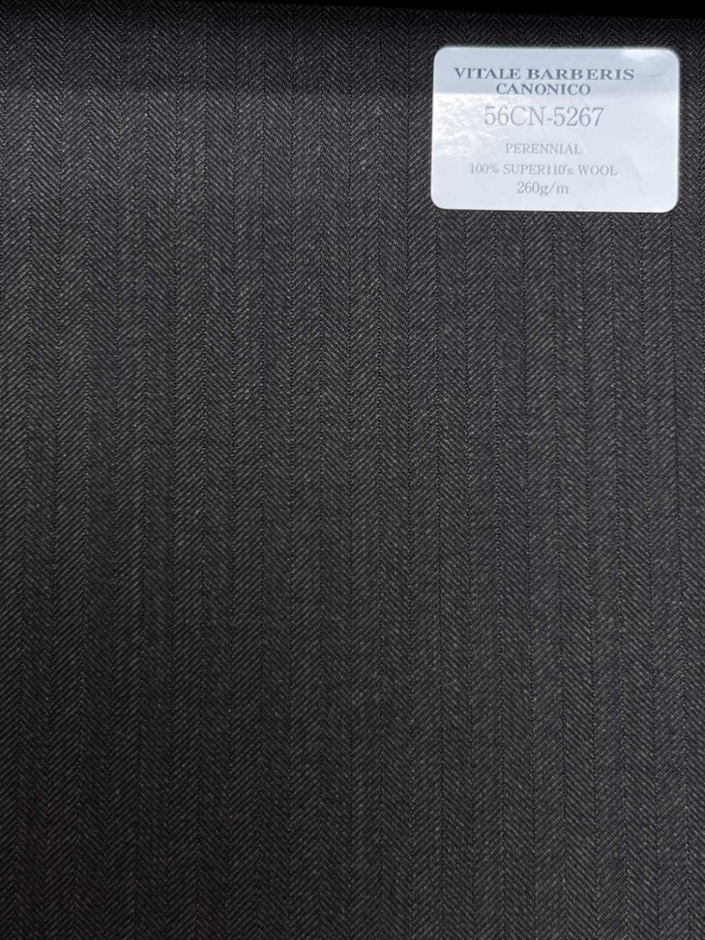 56CN5267 CANONICO (Canonico) PERENNIAL-CLASSICS Spigato marrone[Tessile] CANONICO