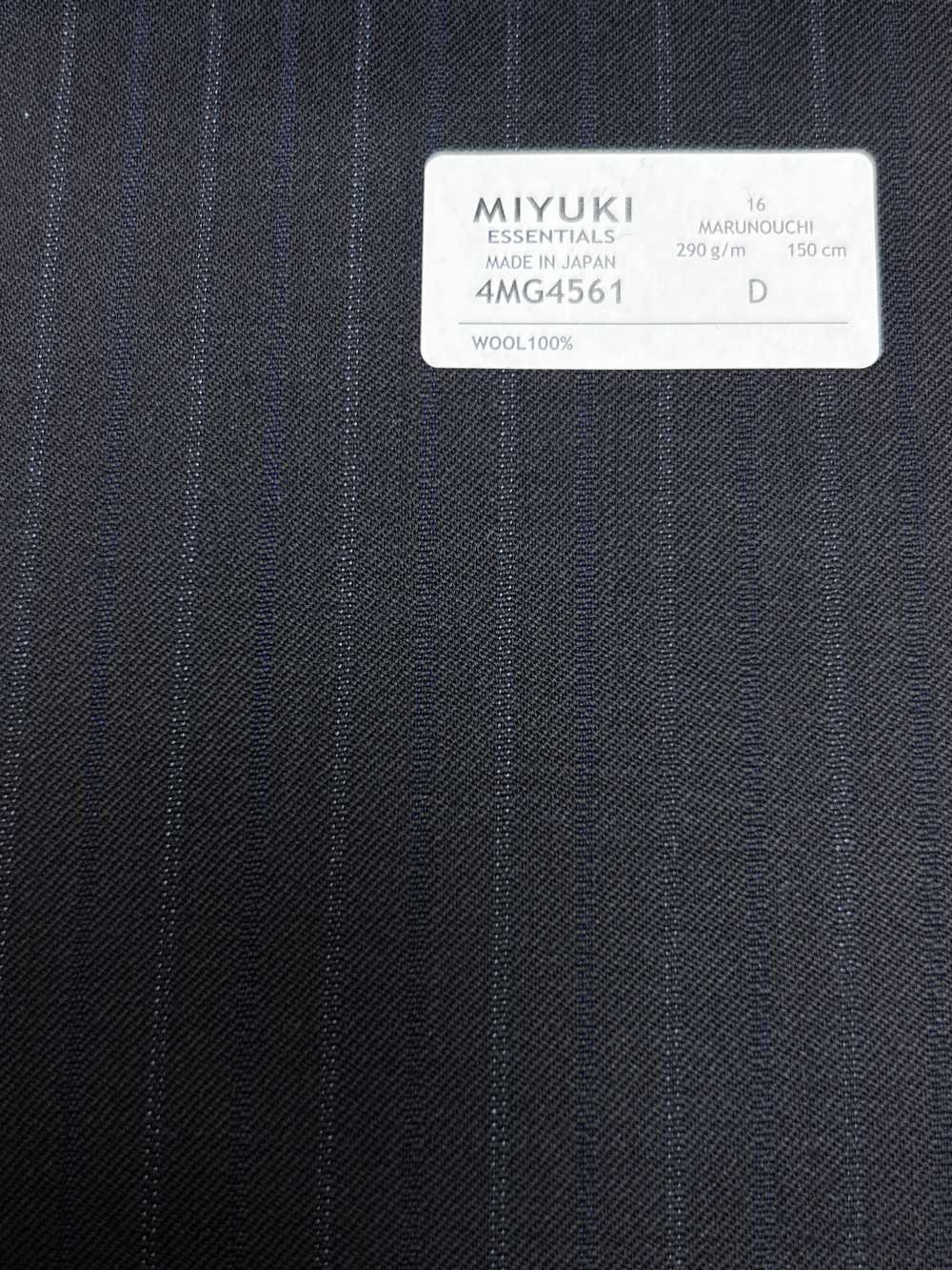 4MG4561 26AW MARUNOUCHI Saia a righe blu navy[Tessile] Lanificio Miyuki