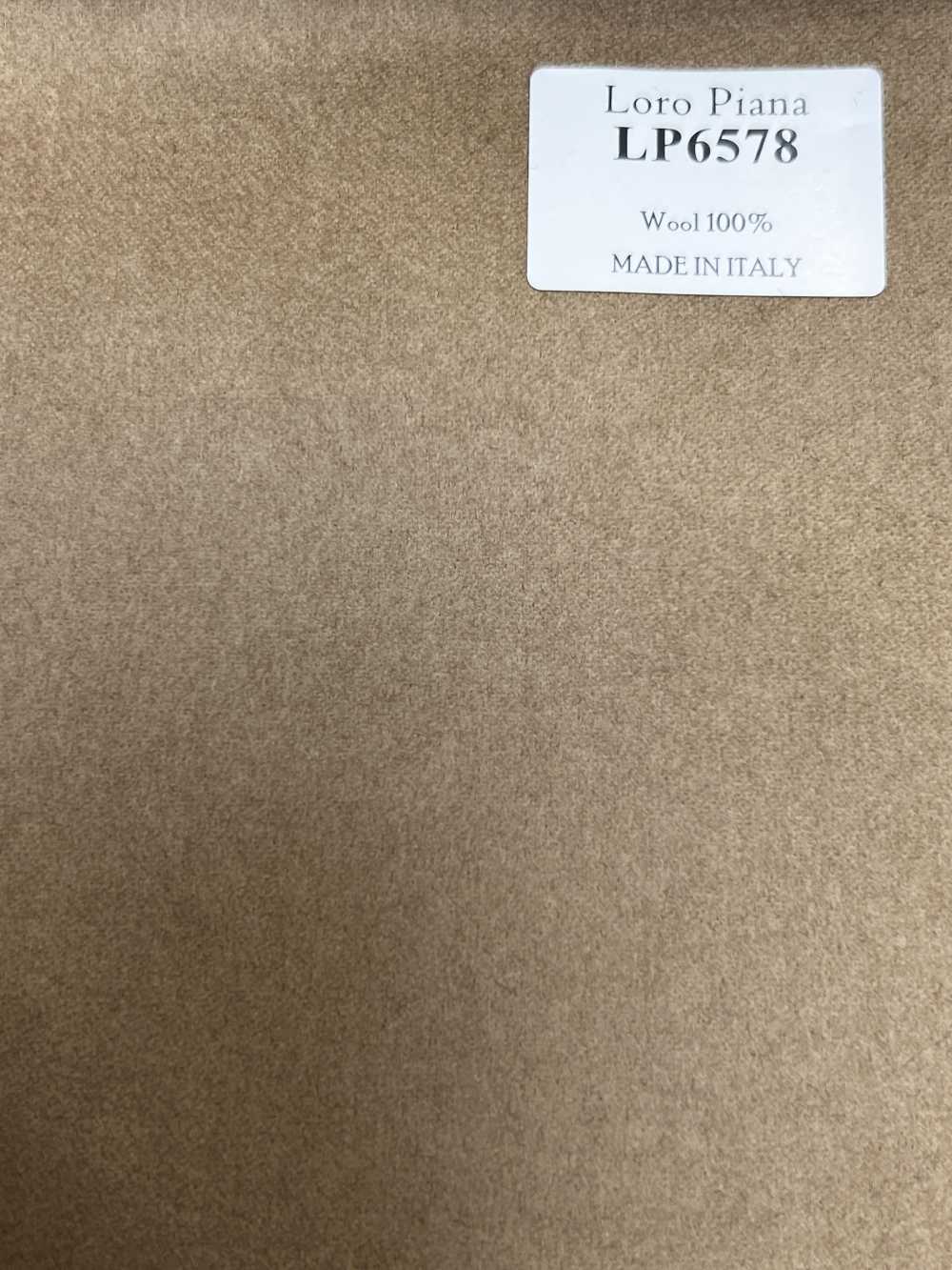 LP6578 Loro Piana Cachi senza motivo[Tessuti] HOSOI SYOJI