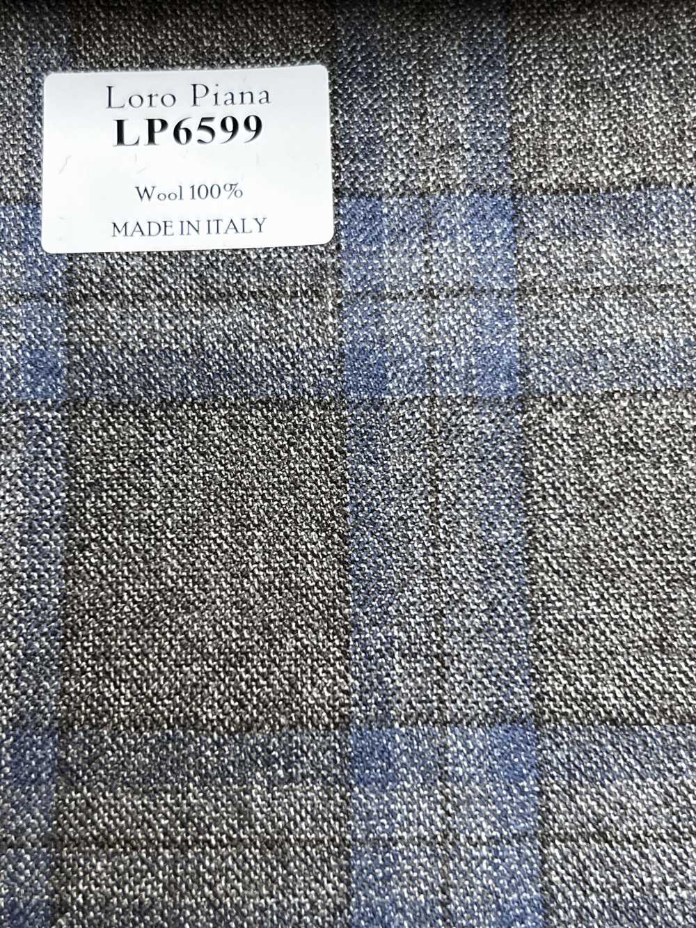 LP6599 Loro Piana Quadri marroni e blu[Tessuti] HOSOI SYOJI
