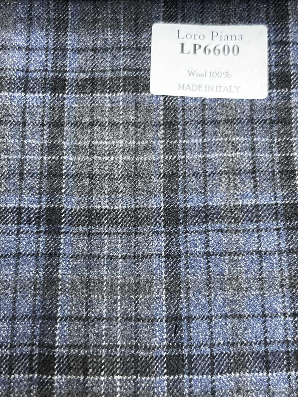 LP6600 Loro Piana quadri grigi e blu[Tessuti] HOSOI SYOJI
