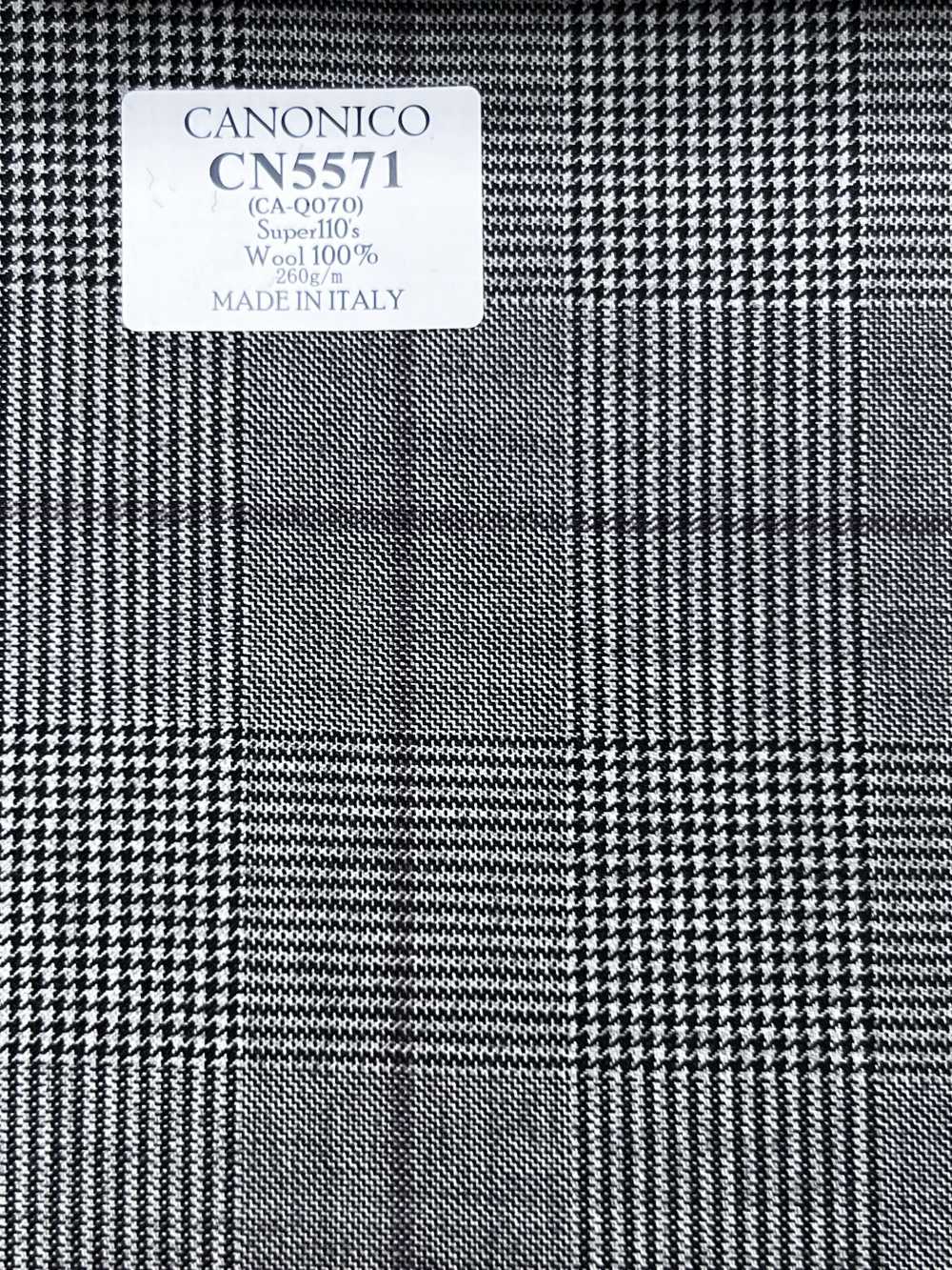 CN5571 CANONICO Super110's Grigio Chiaro x Quadri Viola[Tessuti] HOSOI SYOJI