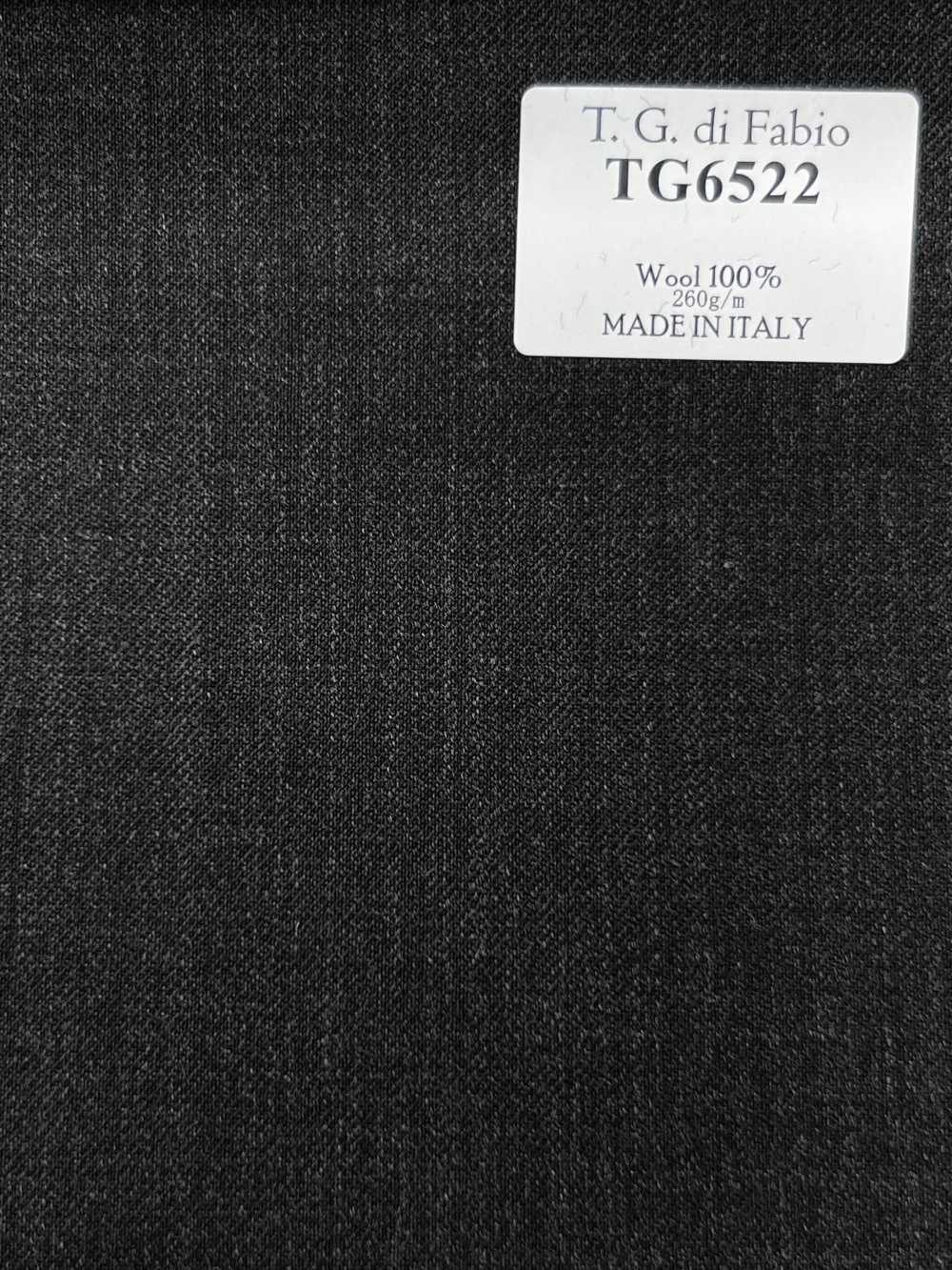 TG6522 T.G Di FABIO Grigio tinta unita[Tessile] HOSOI SYOJI