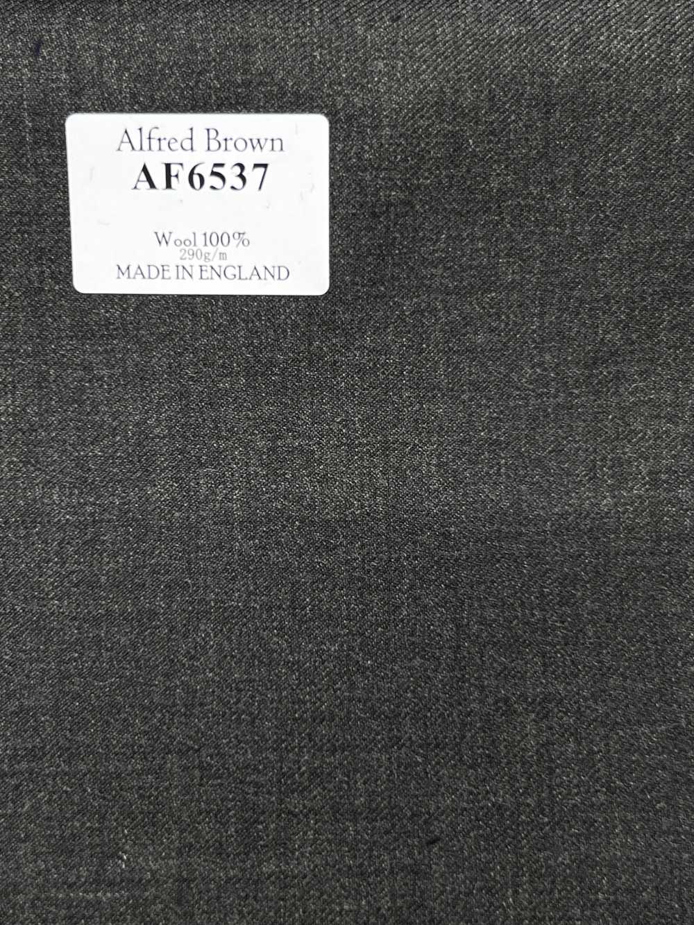 AF6537 Alfred Brown Blu navy scuro tinta unita[Tessuti] HOSOI SYOJI