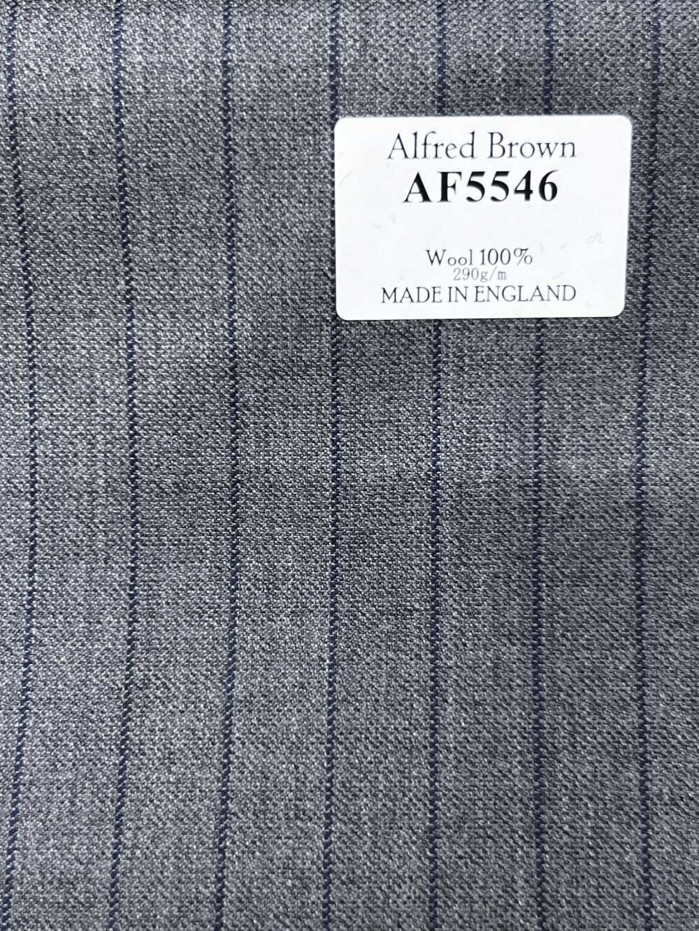 AF5546 Alfred Brown Riga grigia × blu navy[Tessuti] HOSOI SYOJI