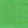 Verde Erba Verde Erba