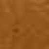 Cammello