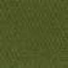 Verde Muschio