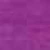 Viola Viola