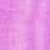 Viola Fucsia