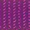 Viola Viola