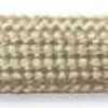 Biscotto Biscotto