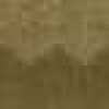 Terra D'ombra Grezza