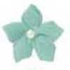 Menta