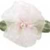 Rosa Baby