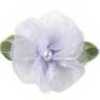 Lavanda