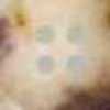 Beige Rossastro × Macchie Nere Beige Rossastro × Macchie Nere