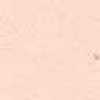 Rosa Salmone