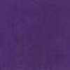 Viola Viola
