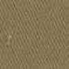 Beige Cammello