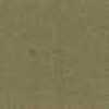 Cammello