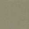 Beige Cammello