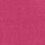 Rosa Fucsia
