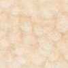 Beige Chiaro Beige Chiaro