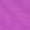 Fucsia Viola