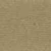 Beige Beige