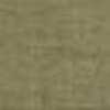 Beige Beige