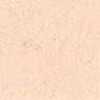 Rosa Salmone Rosa Salmone