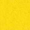 Giallo Giallo