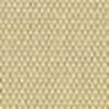 Beige Chiaro Beige Chiaro