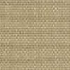 Beige Chiaro