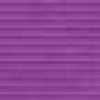 Viola Viola