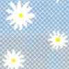 Blu Saxe