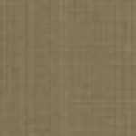 Beige Kaki